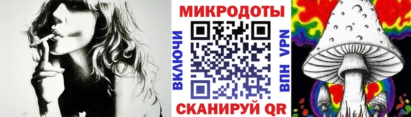 Псилоцибиновые грибы Cubensis  Малгобек 
